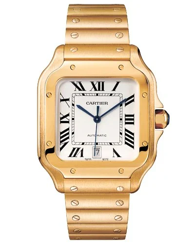 Часы Cartier Santos WGSA0029