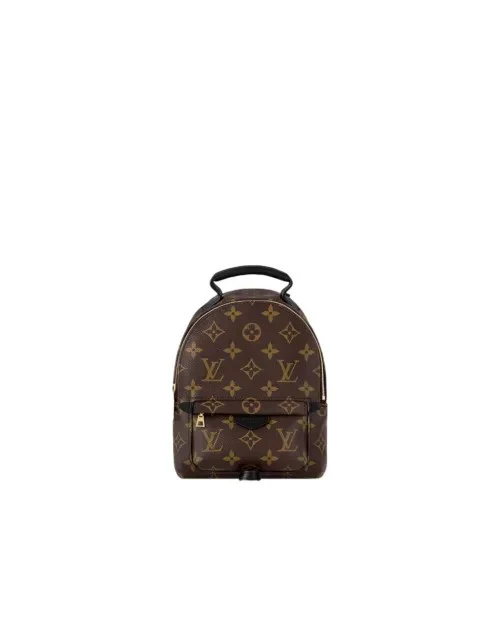 Женская сумка Louis Vuitton Palm Springs Mini M44873