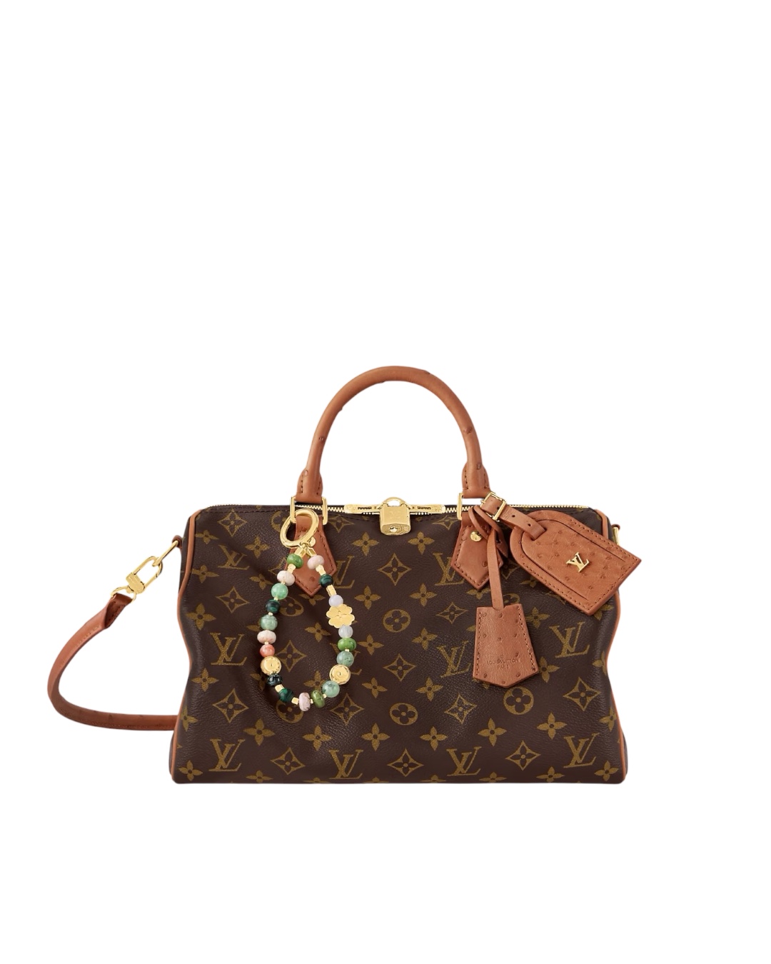 Женская сумка Louis Vuitton Speedy Soft 30 Boho N87212