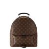Копия сумки Женский рюкзак Louis Vuitton Palm Springs MM M44874 — фото товара LuxuryWatch