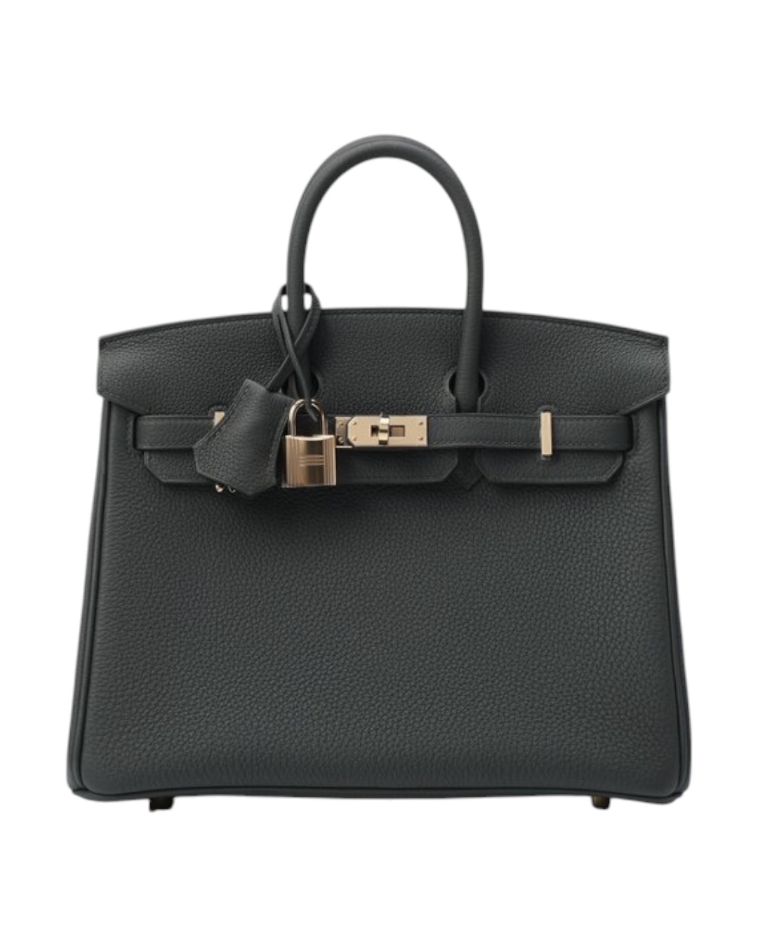 Сумка женская Hermès Birkin 25 Togo Vert Véronèse