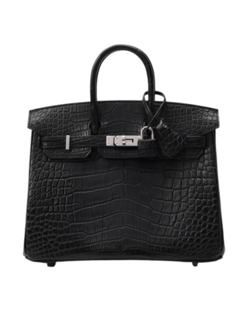 Сумка женская Hermès Birkin 25 Matte Alligator