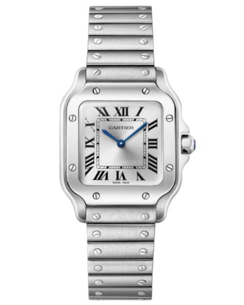 Реплика часов Cartier Santos de Cartier Watch 27 WSSA0082 — фото товара LuxuryWatch