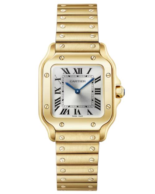 Реплика часов Cartier Santos de Cartier Watch 27 WGSA0107 — фото товара LuxuryWatch