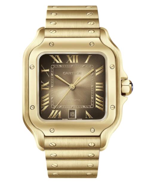 Часы Cartier Santos De Cartier W2SA0031